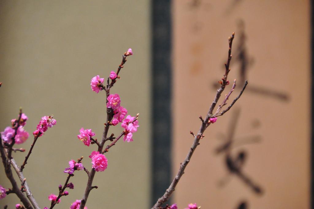 Ryokan Urashima Onomichi Rom bilde